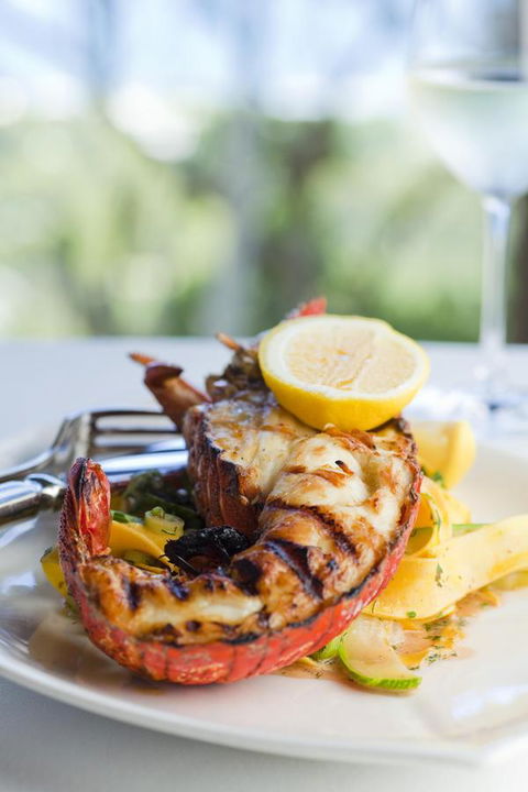 Chris\'s Beacon Point Restaurant & Villas - Accommodation QLD 8