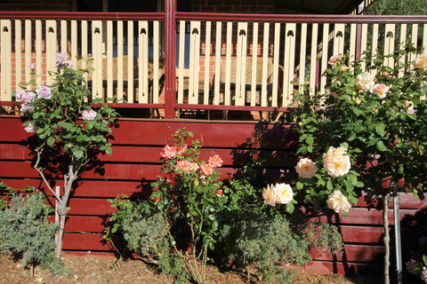 Oxford Rise Apartment - Accommodation QLD 21