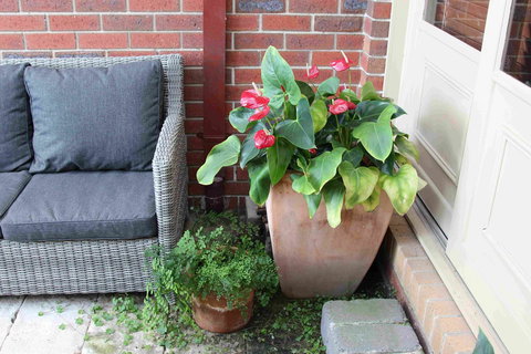 Oxford Rise Apartment - Accommodation QLD 16