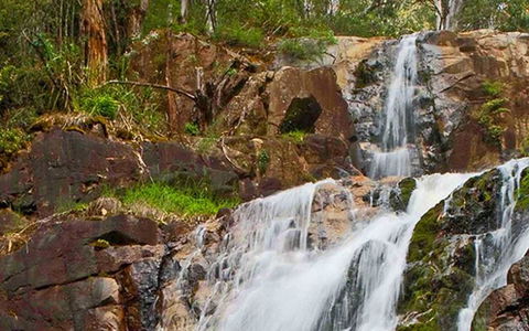 Marysville Caravan And Holiday Park - Accommodation QLD 37