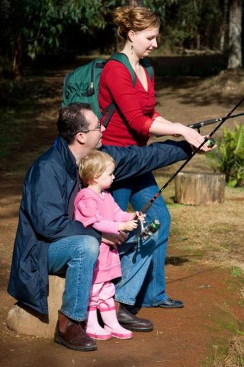Marysville Caravan And Holiday Park - Accommodation QLD 22