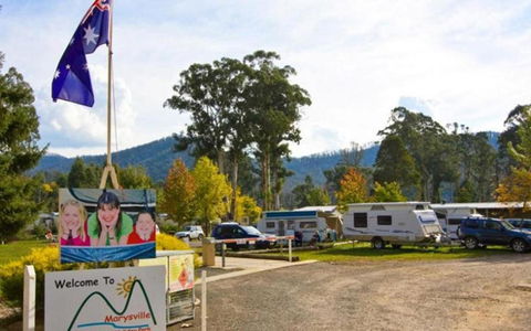 Marysville Caravan And Holiday Park - Accommodation QLD 34