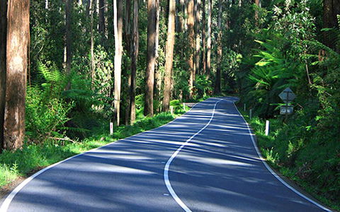 Marysville Caravan And Holiday Park - Accommodation QLD 40