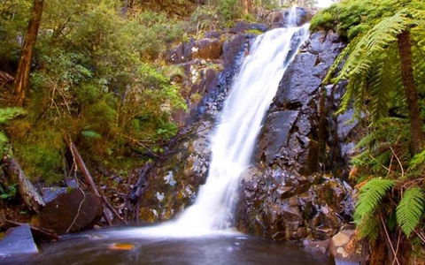 Marysville Caravan And Holiday Park - Accommodation QLD 32