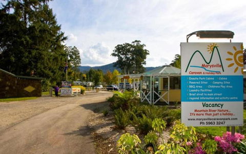 Marysville Caravan And Holiday Park - Accommodation QLD 33