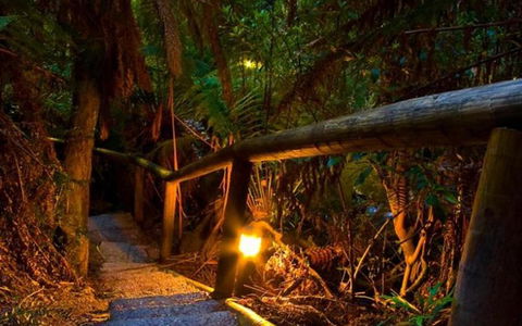 Marysville Caravan And Holiday Park - Accommodation QLD 27