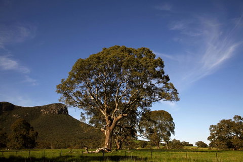 Dunkeld Studio Accommodation - Accommodation QLD 23