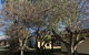 Dunkeld Studio Accommodation - thumb 4