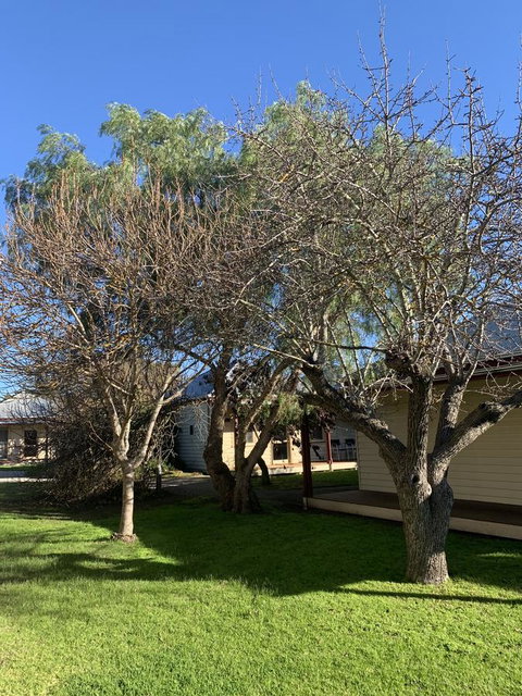 Dunkeld Studio Accommodation - Accommodation QLD 4