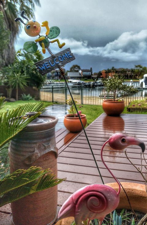 Waterfront Retreat - Accommodation QLD 5