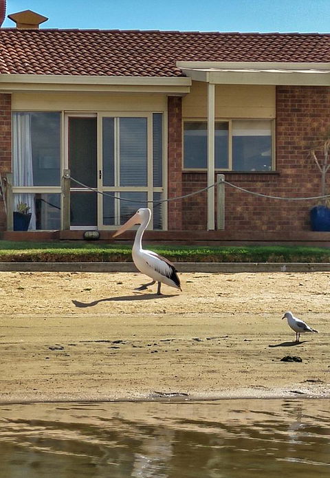 Waterfront Retreat - Accommodation QLD 25