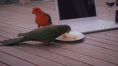 Wilsons Promontory Motel - Accommodation QLD 12