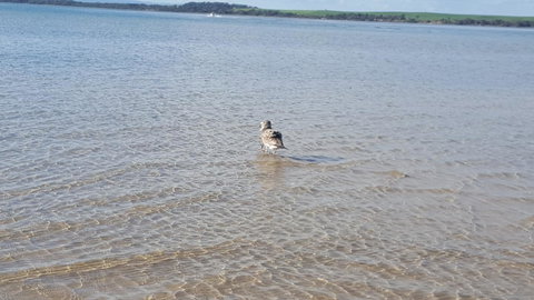 Wilsons Promontory Motel - Accommodation QLD 35