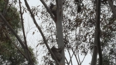 Wilsons Promontory Motel - Accommodation QLD 28