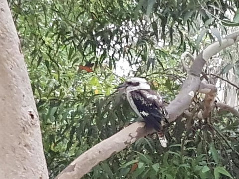 Wilsons Promontory Motel - Accommodation QLD 26