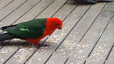 Wilsons Promontory Motel - Accommodation QLD 27