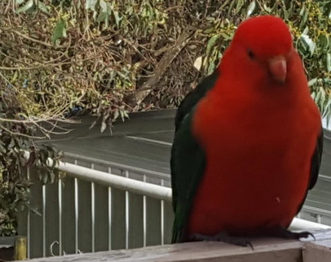 Wilsons Promontory Motel - Accommodation QLD 23