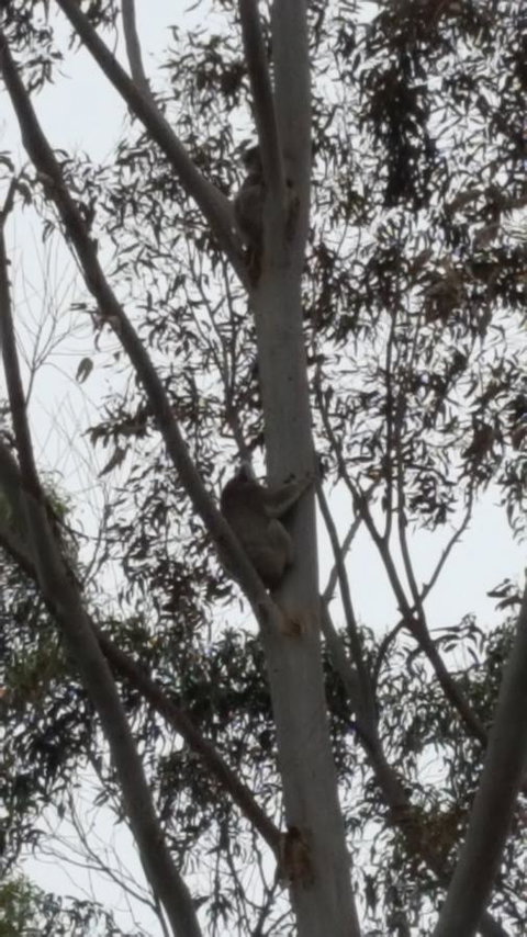 Wilsons Promontory Motel - Accommodation QLD 29