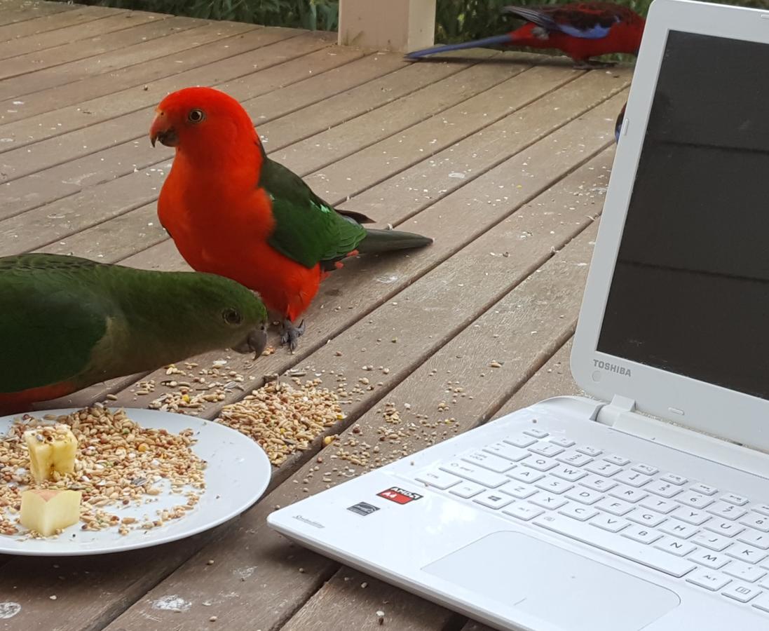  Accommodation QLD
