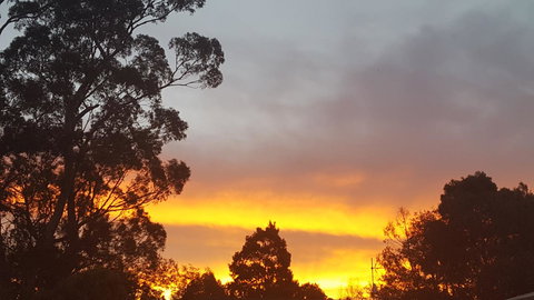 Wilsons Promontory Motel - Accommodation QLD 25