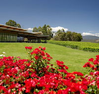 Balgownie Estate Vineyard Resort  Spa - Accommodation QLD