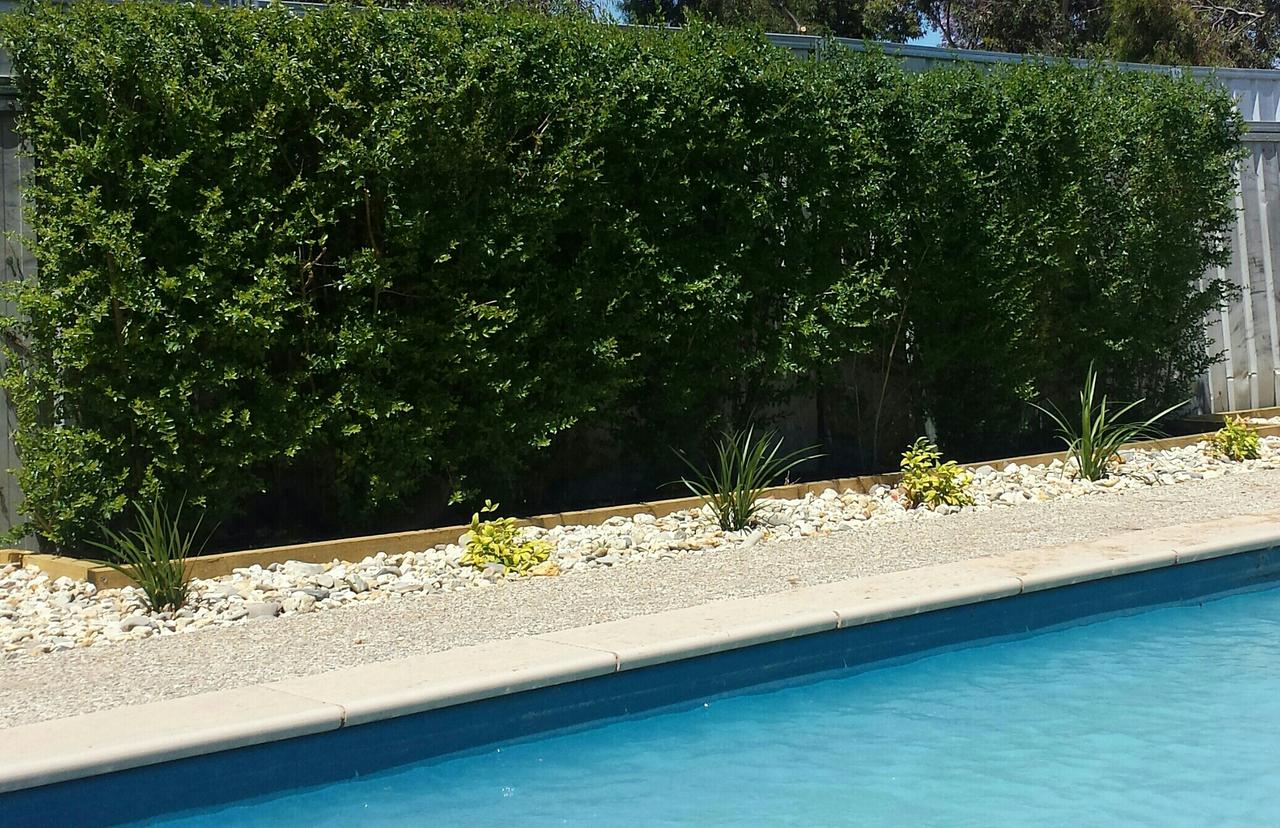 Robinvale VIC Accommodation QLD