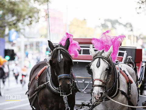 Rose Lane Serviced Apartment - Accommodation QLD 16