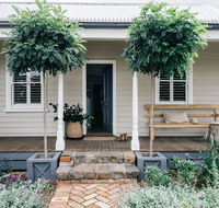 Acre of Roses - Accommodation QLD