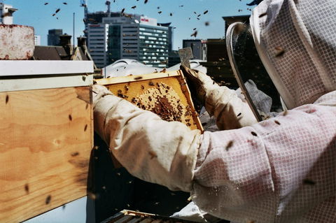 Alto Hotel On Bourke - Accommodation QLD 14