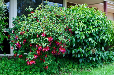 Crimea Retreat - Accommodation QLD 18