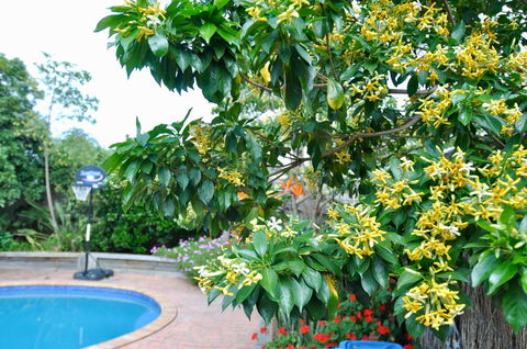 Crimea Retreat - Accommodation QLD 20