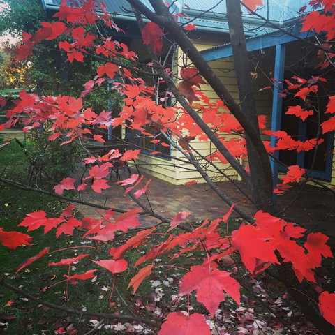 The Orchard House - Accommodation QLD 27