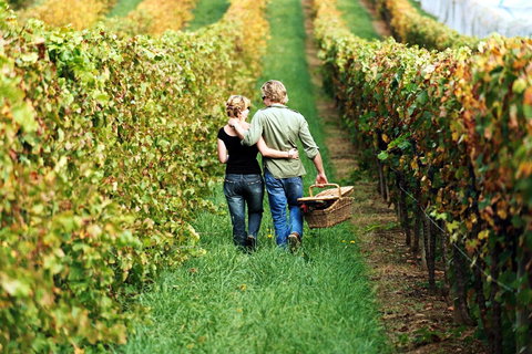 Goldfield Holiday Units - Accommodation QLD 33