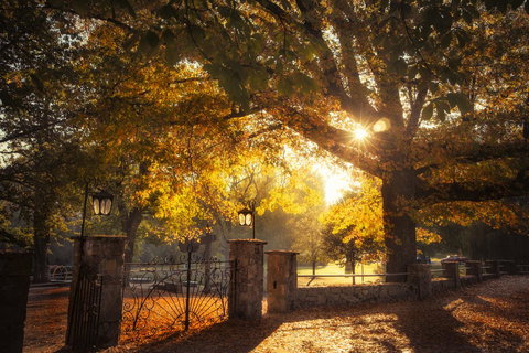 Goldfield Holiday Units - Accommodation QLD 20