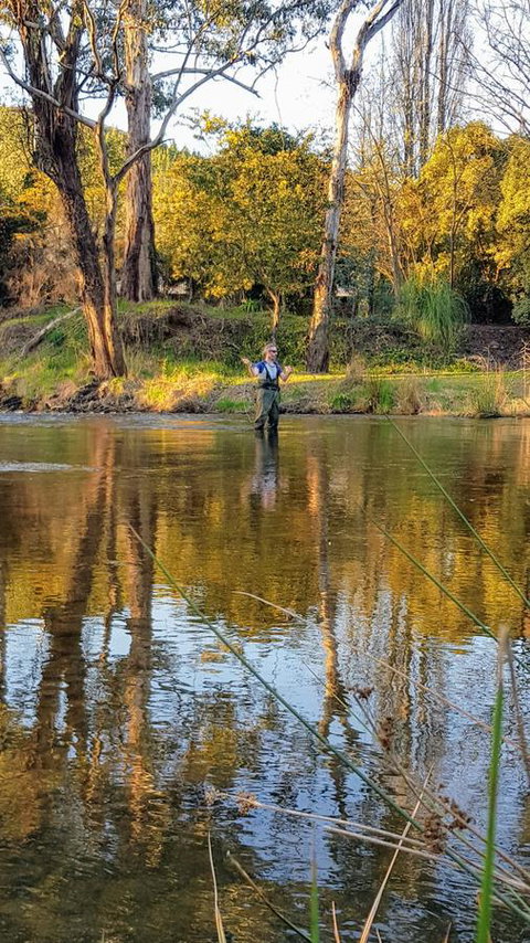 Goldfield Holiday Units - Accommodation QLD 21