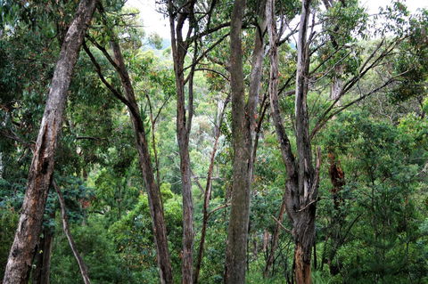 Tangenong Cottages - Accommodation QLD 9