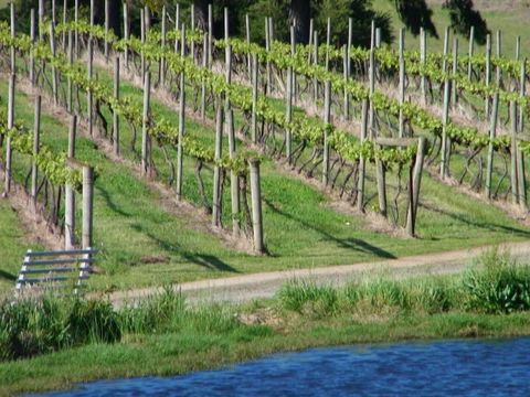 De\'Vine Escape - Accommodation QLD 13