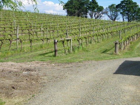 De\'Vine Escape - Accommodation QLD 23