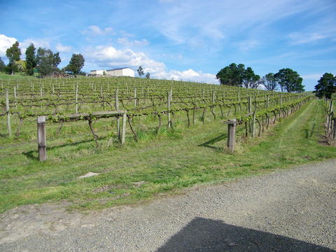 De\'Vine Escape - Accommodation QLD 30