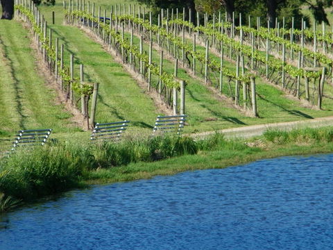 De\'Vine Escape - Accommodation QLD 29