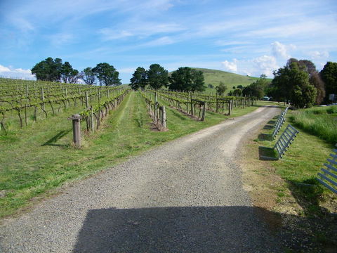 De\'Vine Escape - Accommodation QLD 24