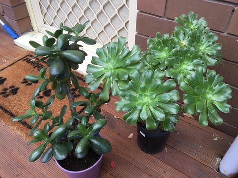 Doncaster Westfield Home Stay - Accommodation QLD 23