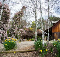 Lothlorien - Accommodation QLD