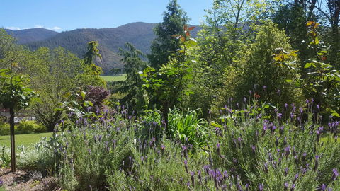 Abbys Cottages Bright - Accommodation QLD 33