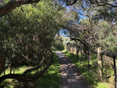Beautiful, Cosy And Quiet - Accommodation QLD 20