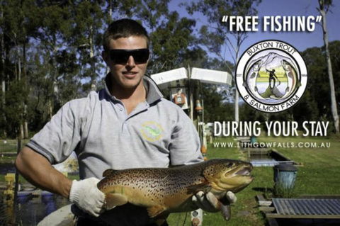 Lithgow Falls Marysville - Accommodation QLD 14