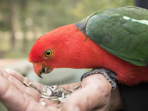 Gipsy Point Lodge & Cottages - Accommodation QLD 17