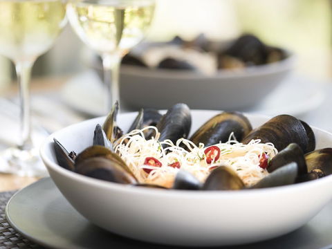 Gipsy Point Lodge & Cottages - Accommodation QLD 12