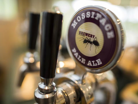 Gipsy Point Lodge & Cottages - Accommodation QLD 16