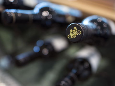 Gipsy Point Lodge & Cottages - Accommodation QLD 19